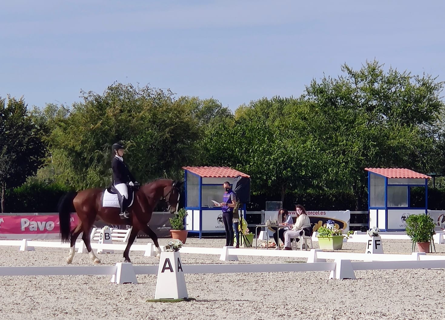 Magnífica actuacion de los jinetes y amazonas Navarros en los Campeonatos de España de Doma Clásica Absoluto y Doma Adaptada 2020